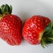 Strawberries by richardcreese