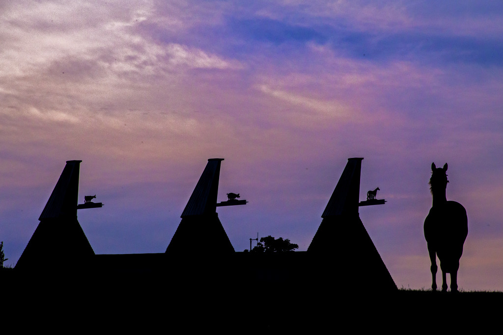 Three Oast Cowls and a Horse by megpicatilly