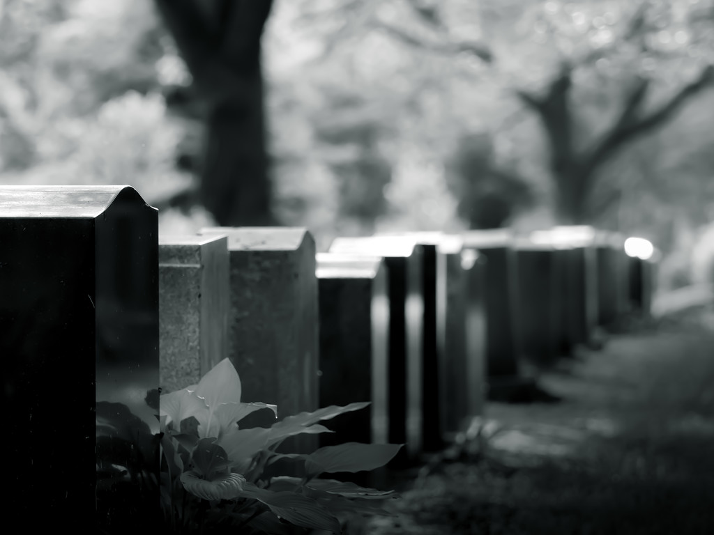 cemetery light by northy