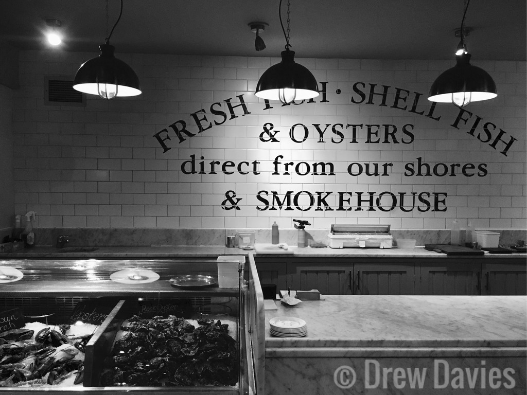 Fish counter by 365projectdrewpdavies