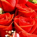 Red Roses by homeschoolmom