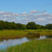 Summer marsh and wetlands, Charleston County, South Carolina by congaree