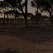 Outback Golf by fillingtime