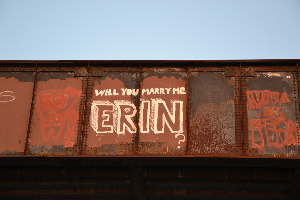 If your name is Erin, this is your lucky day! by louannwarren