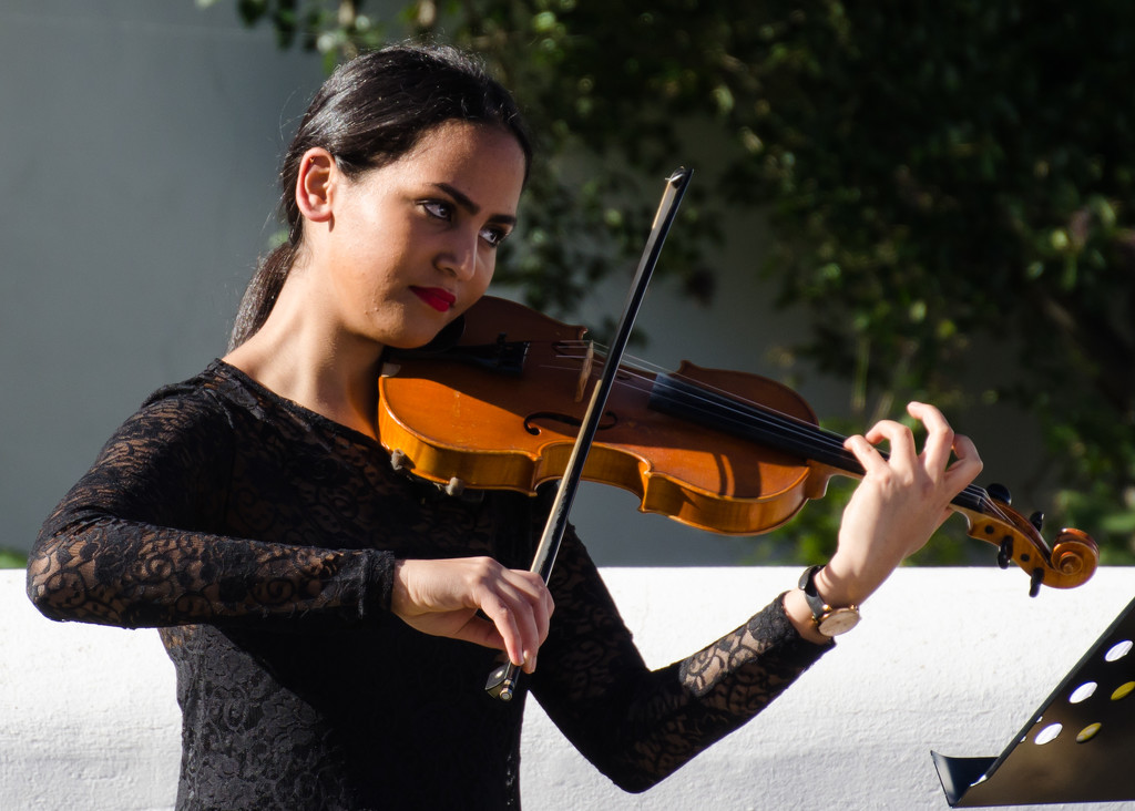 Violinist by salza