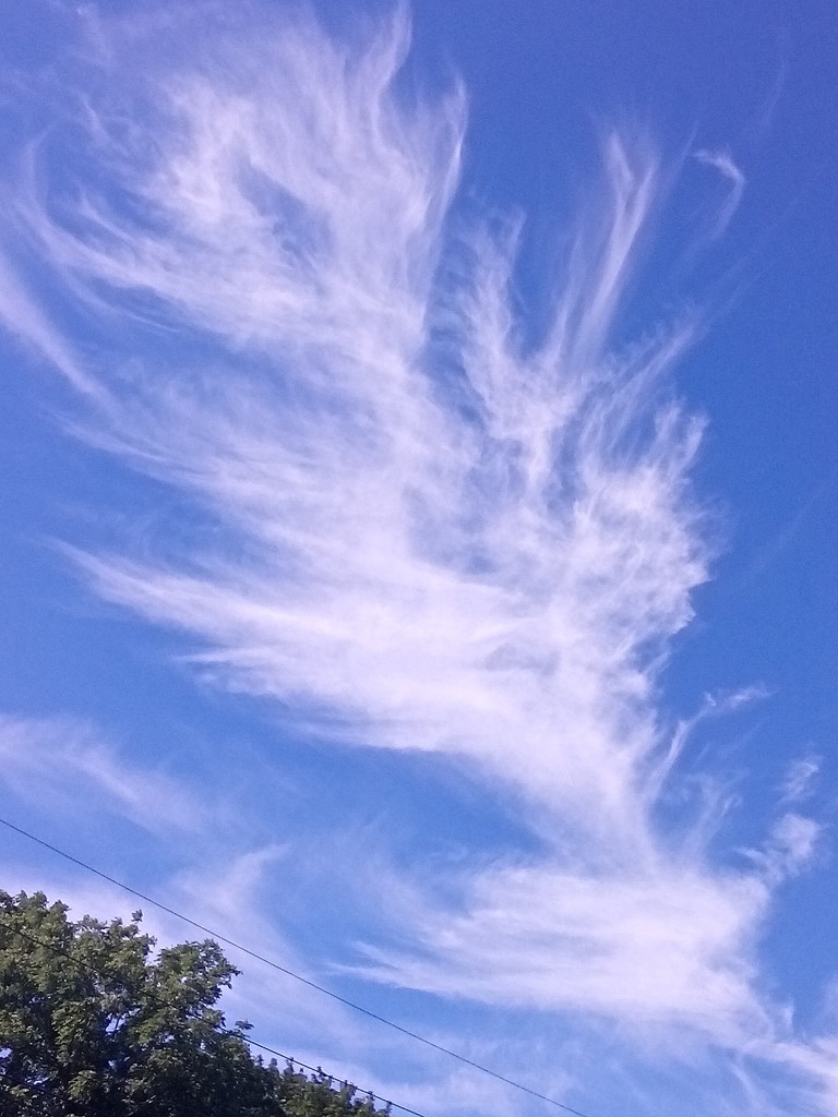 Cloud One by meotzi