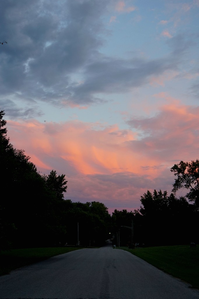 My evening walk by tunia