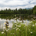 Moose Lake by 365karly1