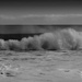 Surf's up by dkbarnett