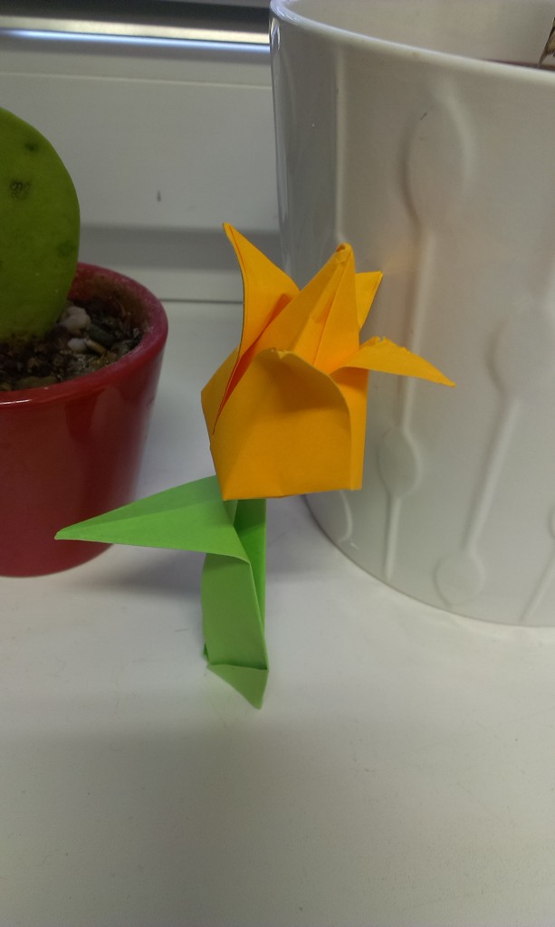 Paper flower by pavlina