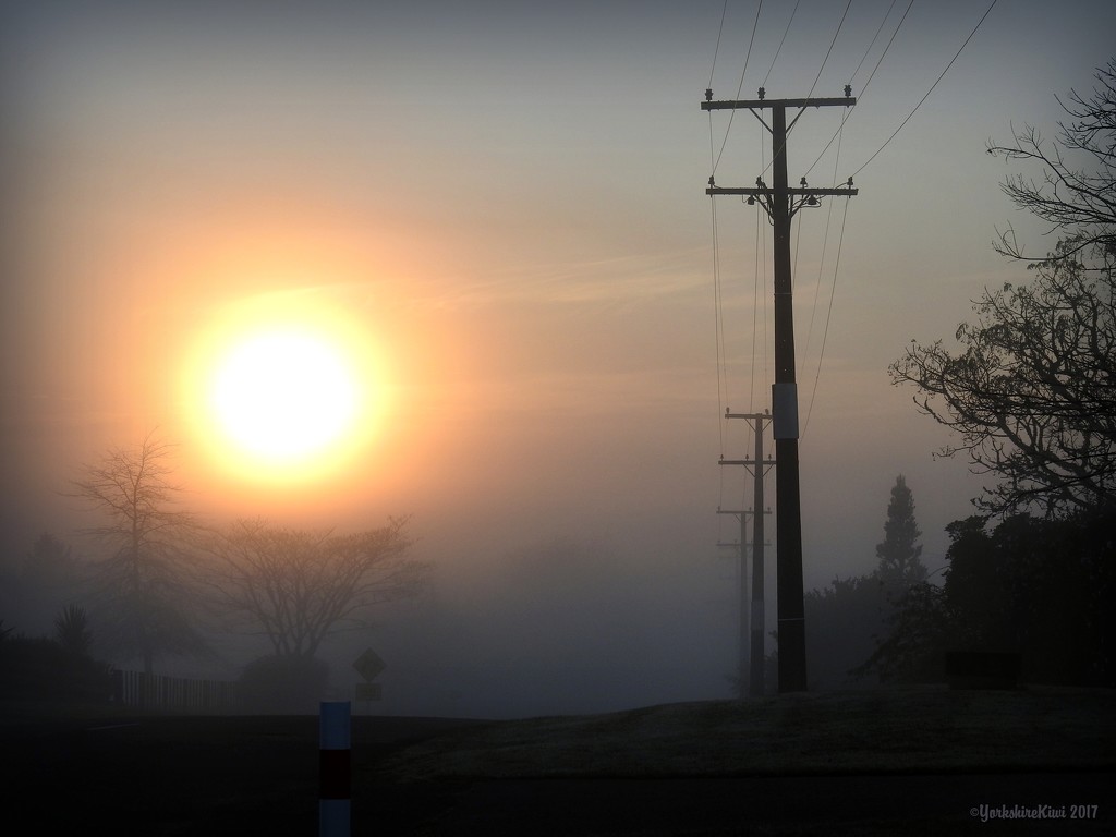 Waikato Morning Fog by yorkshirekiwi