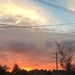 Sunset by alia_801