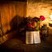 Potting shed poetry by swillinbillyflynn