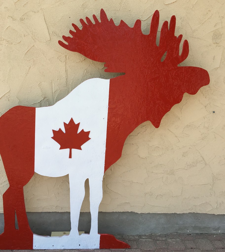 Canada 🇨🇦 day decorations  by radiogirl