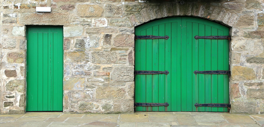 Green Doors by lifeat60degrees