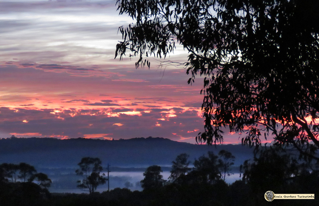love sunrises by koalagardens