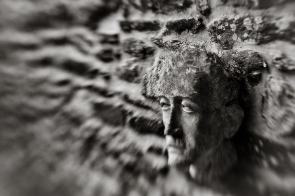 Wall Face - Lensbaby Style... by vignouse