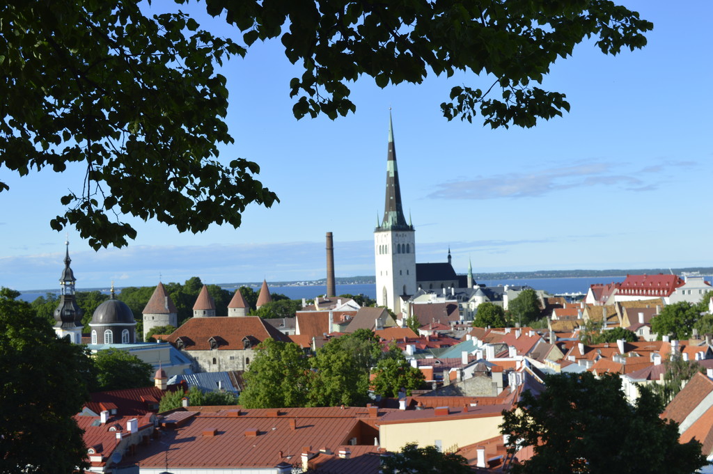 Tallinn by redandwhite