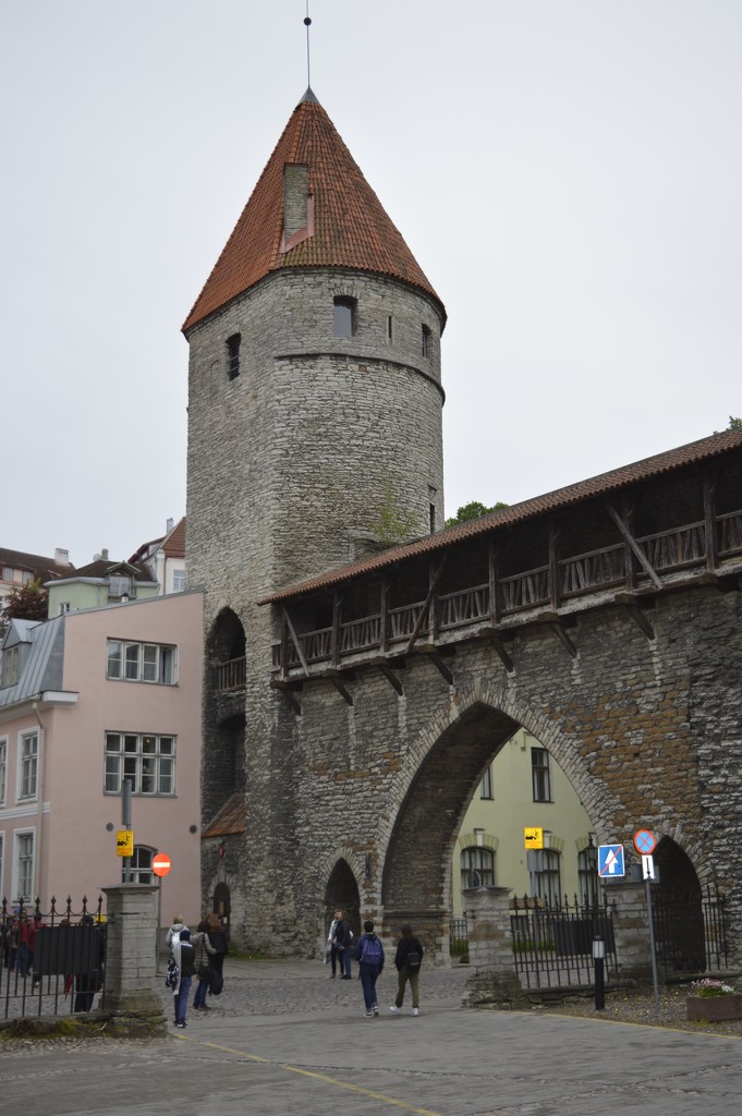 Medieval gate in Tallinn by redandwhite