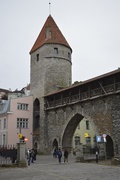 25th Jun 2017 - Medieval gate in Tallinn