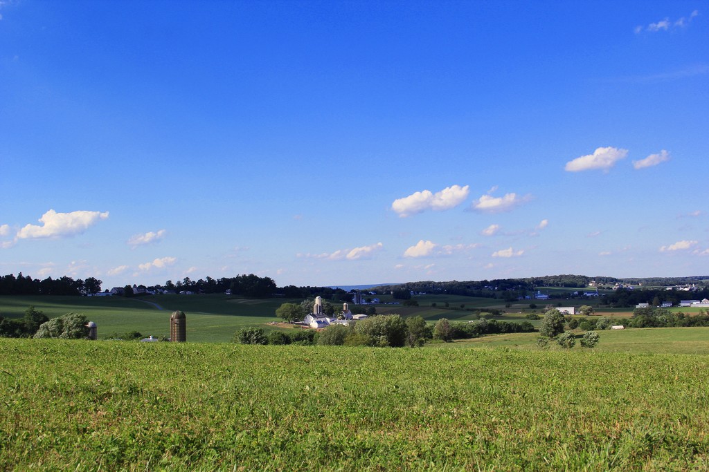 Amish Country  by digitalrn