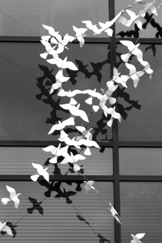 Flock of Seagulls by jaybutterfield