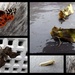Late June moths 2 by steveandkerry