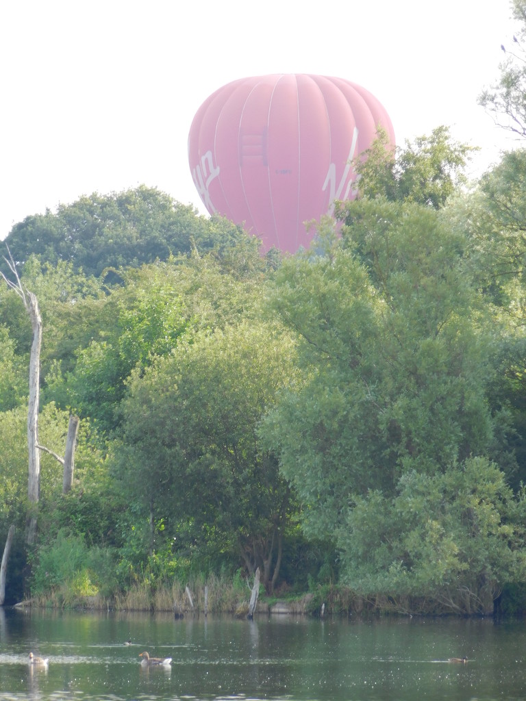 Early morning balloon flight by 365anne