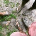 Muddy? Who? Me? ;-) by stimuloog