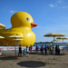the rise of the giant rubber duckie by summerfield