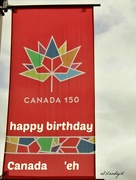1st Jul 2017 - Happy 150th  Birthday Canada!