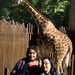 At the Zoo with Zoo Guide Extraordinaire, AnnieD !