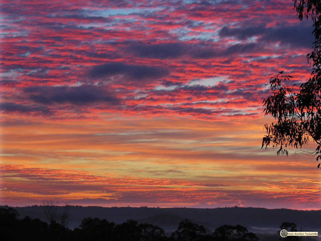 more winter sunrises by koalagardens