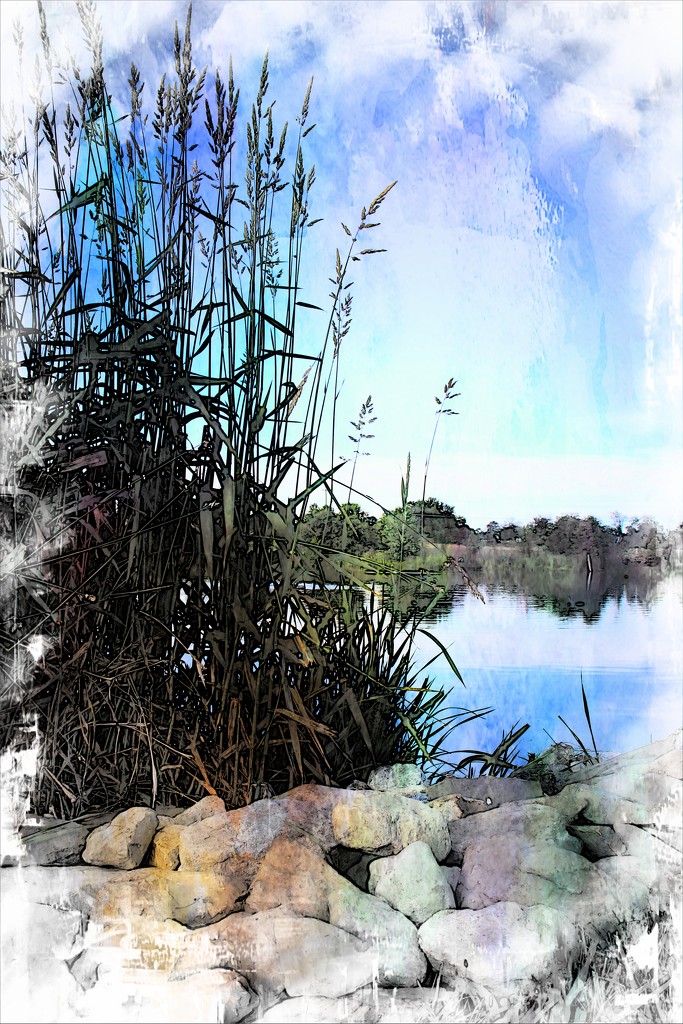 At The Lake by digitalrn