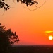Wish I Could See The Sunset From My House by 365projectorgkaty2