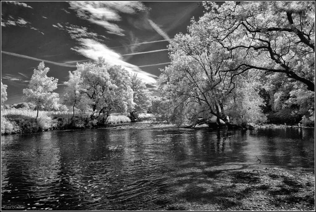 Infrared monchrome by pcoulson