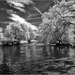 Infrared monchrome by pcoulson