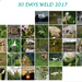 30 Days Wild by farmreporter