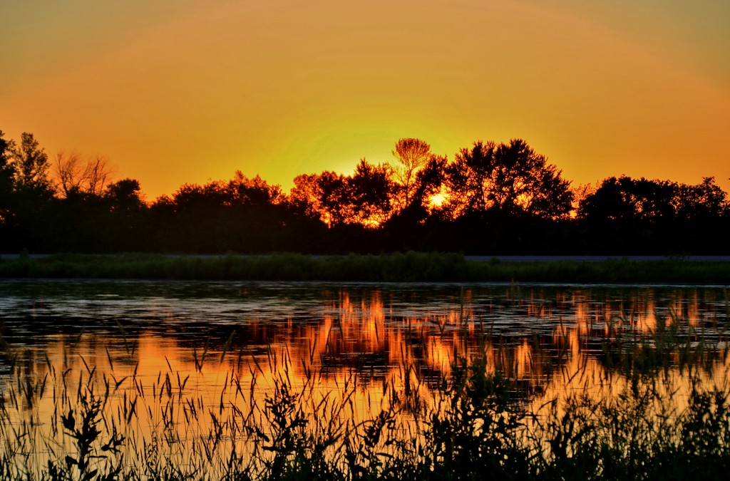 Marsh Sunset by lynnz