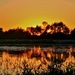 Marsh Sunset by lynnz