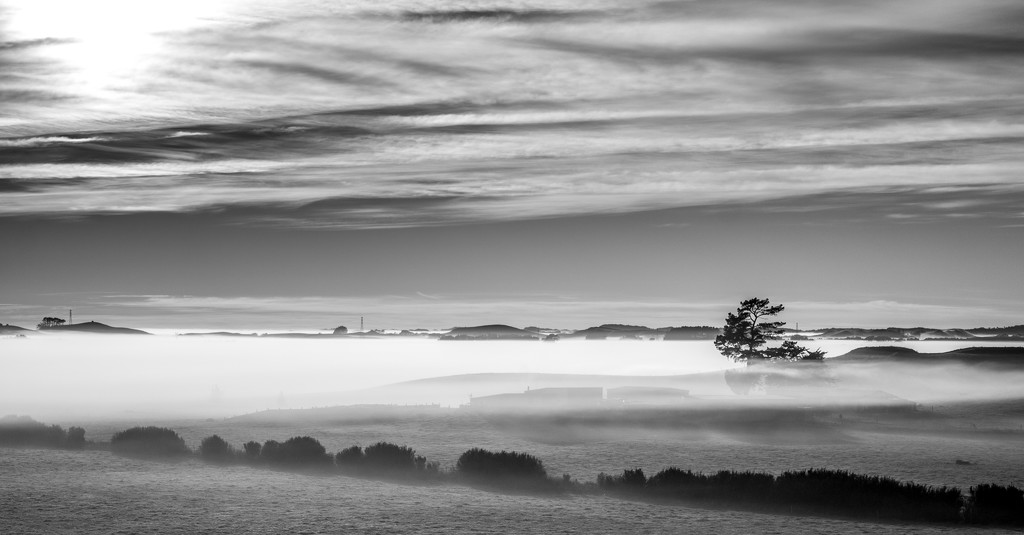 the last of the fog shots by graemestevens