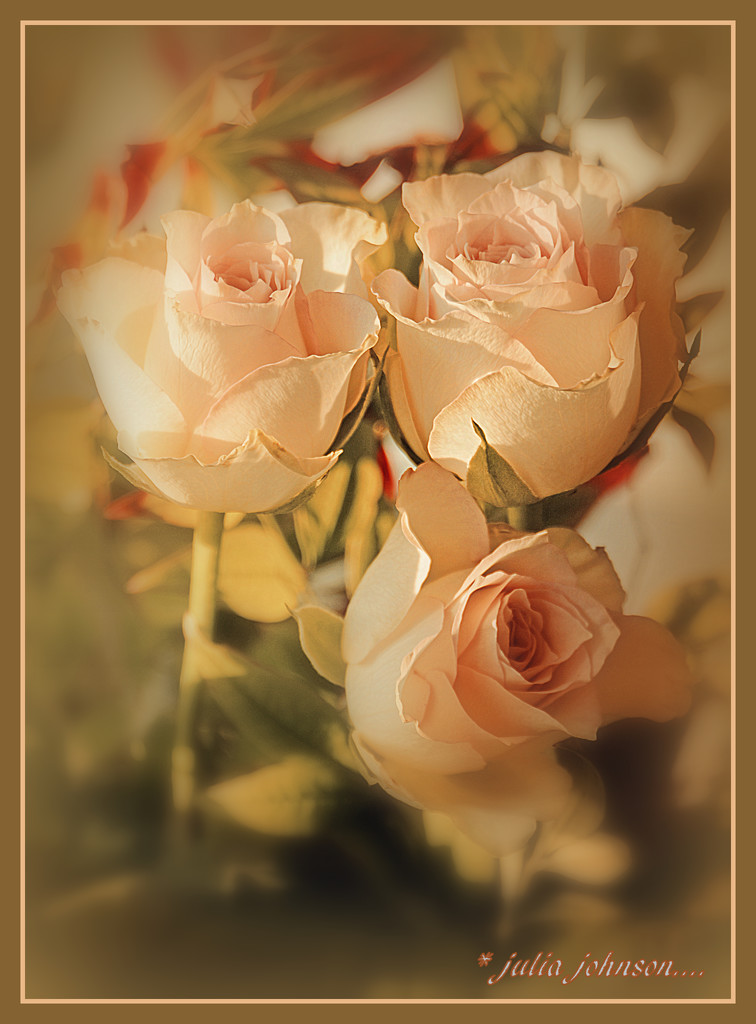 Antique Rose... by julzmaioro