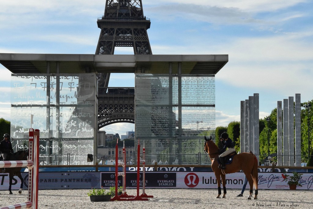 Even horses are impressed by the view by parisouailleurs