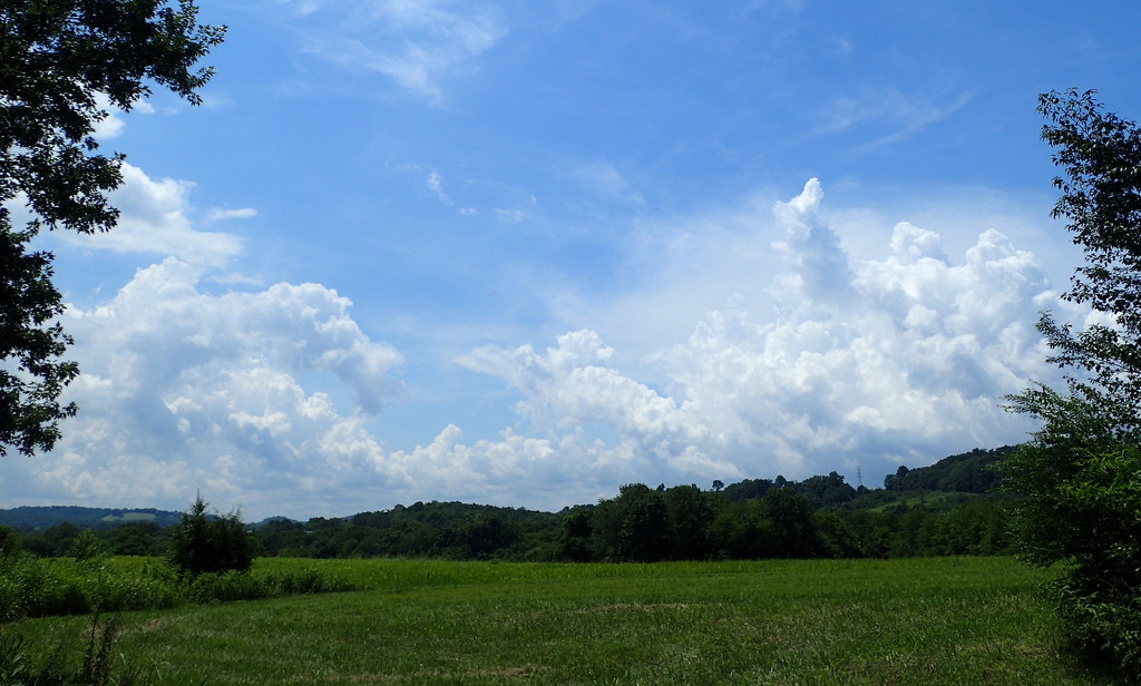 Tennessee Skies by cjwhite