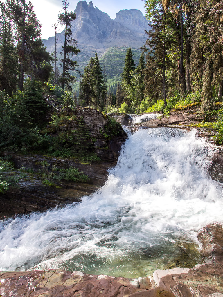 GNP Falls by grizzlysghost