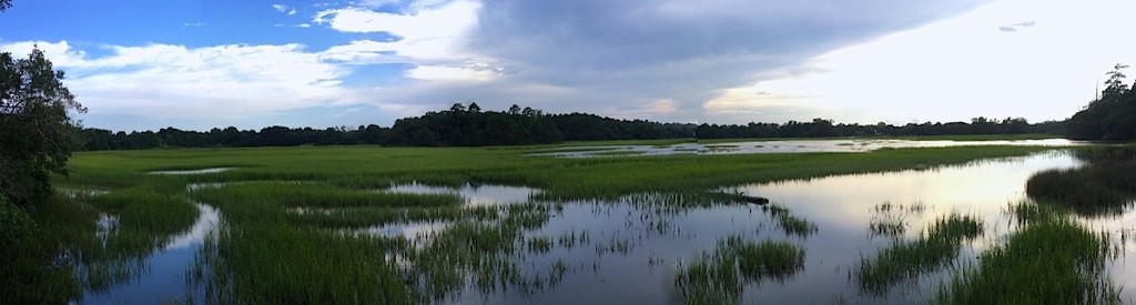 Marsh,  sky and clouds, Charleston, SC by congaree