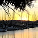 At the setting of the sun Manly Marina by 777margo
