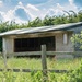 Horse house in field by jon_lip