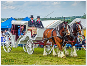 4th Jul 2017 - Wedding Landau And Shire Horses