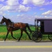 Horse And Buggy by digitalrn